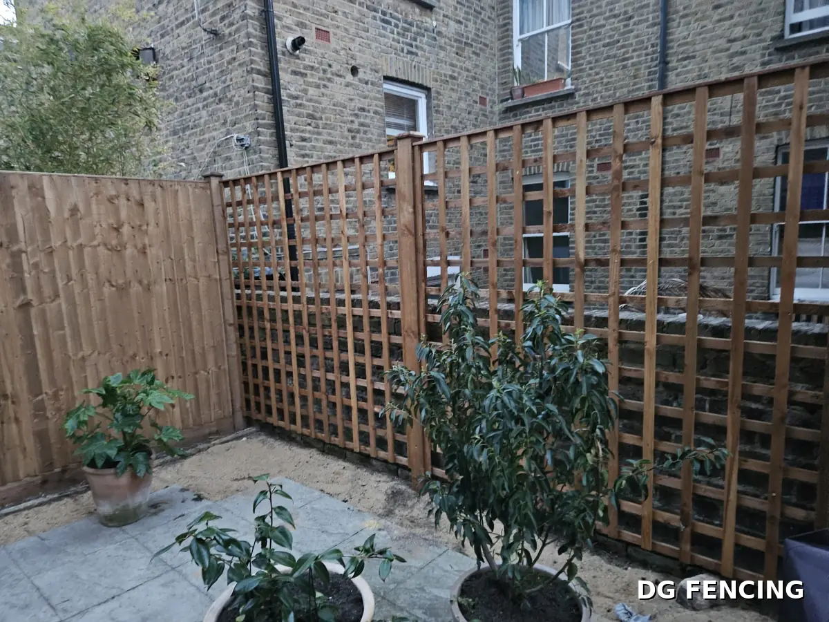 After: square trellis screens installed above the garden wall with new planting