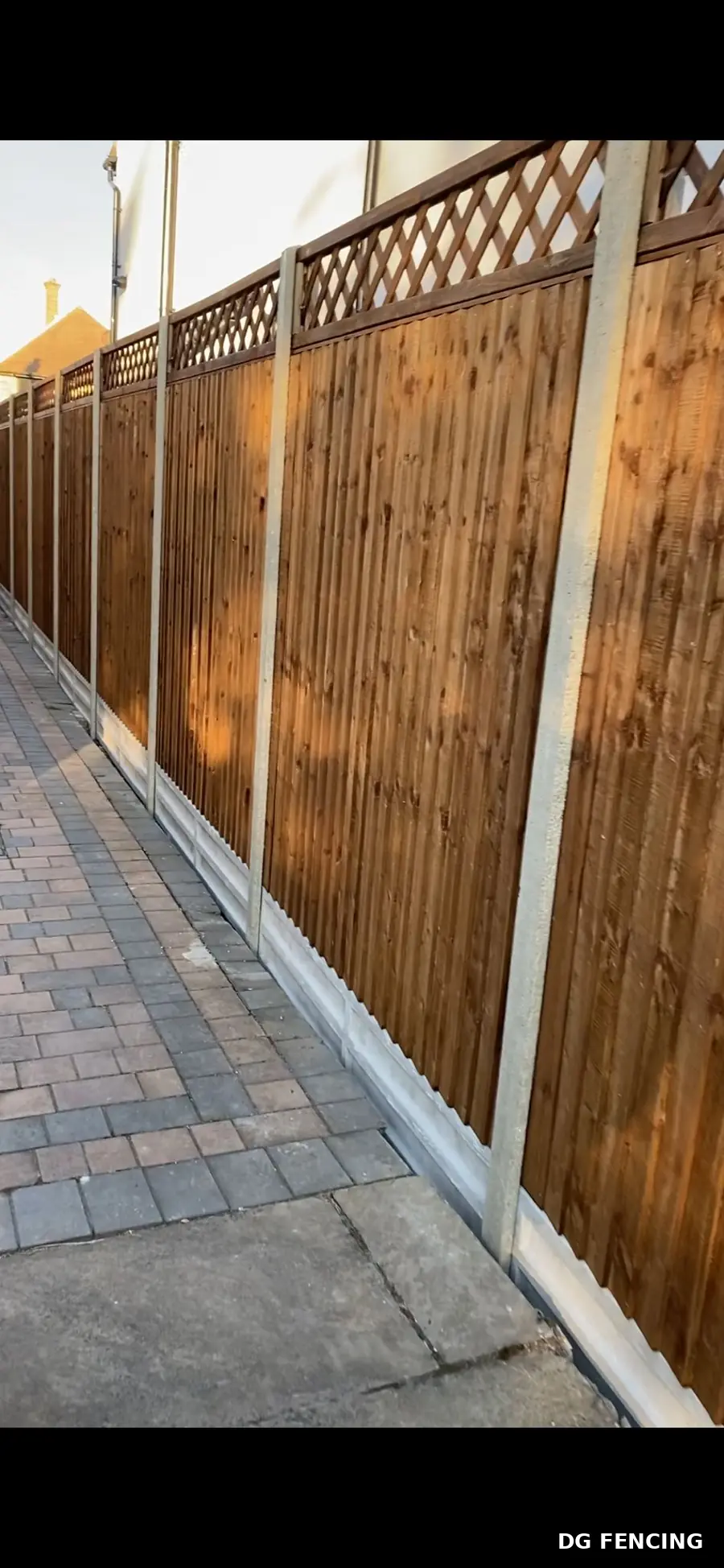 Closeboard fencing with lattice trellis top glowing in evening light along a paved path