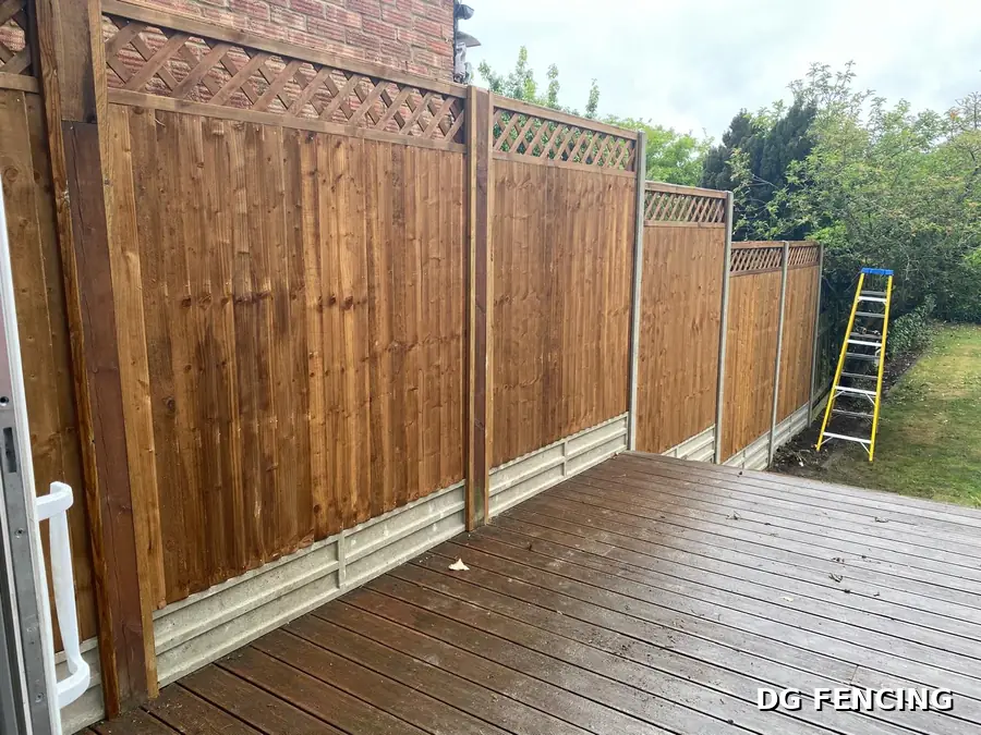 Trellis-topped fence panels beside garden decking and steps